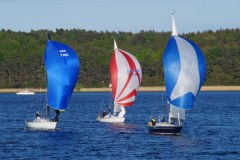 DSC08004