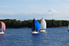 DSC08014