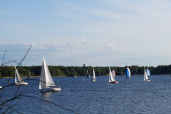 DSC08017