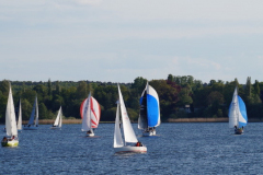 DSC08018