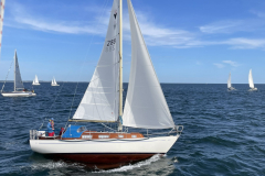 0404E86D-9994-4667-888D-7F6EBF02E743_1_102_o