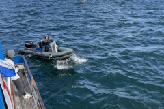 49E992C8-F3F6-47D0-8085-B21BB451A9F3_1_102_a