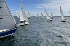 A853CC57-BA0F-4F0C-BDC8-C22A731E51B3_1_102_o