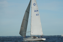 DSC01988