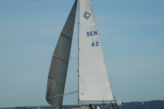 DSC01993