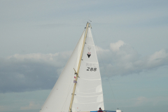 DSC02003