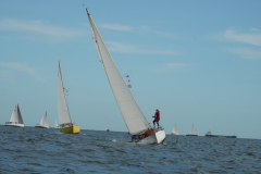 DSC02021