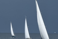 EA4EDF80-FB71-4D7B-965B-D28CCC21B2E5_4_5005_c