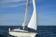 VNC_4201