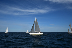 VNC_4225