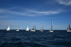 VNC_4233