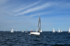 VNC_4254