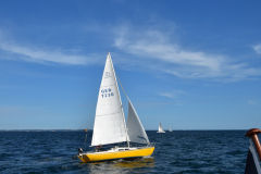 VNC_4261