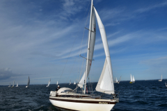 VNC_4269