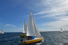 VNC_4278