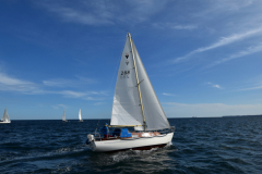 VNC_4279