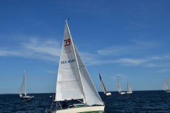 VNC_4281