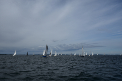 VNC_4286