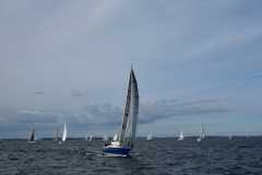 VNC_4289