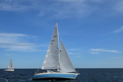 VNC_4302