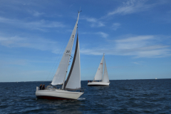 VNC_4308