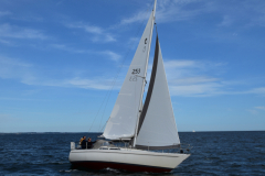 VNC_4310