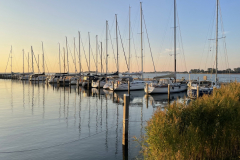 C2A4648F-6279-4205-8CD2-4AE15ED1BAAC_1_105_c