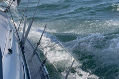 F0CF8721-AB94-45A0-8421-19D5DC907F1A_1_102_o