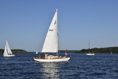 035A8427-0BBD-42A7-9017-DB5DA3C3A196_4_5005_c