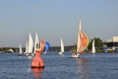 0AFA3EE1-7CBB-405A-A9C4-DF73F48660B3_4_5005_c