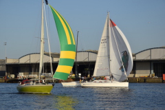 16519A31-6859-49AE-92A7-D89CC1B8E835_4_5005_c