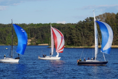 2EA57C24-A219-4704-942F-DBF58AA82D86_4_5005_c