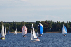 580CEDBA-2612-4F9A-A181-1C15E11A9B54_4_5005_c