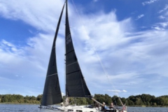 6CE9818D-1FF7-412D-8BF6-D71D6BF21EC1_4_5005_c