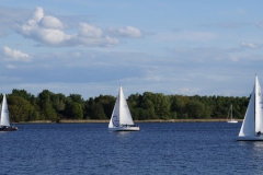 732CD146-40B4-47AB-A819-D8CB7BEC817D_4_5005_c