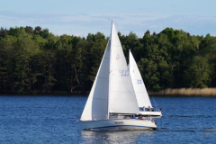 73456E92-A96F-43EF-9D7B-1DCCCADE3348_4_5005_c