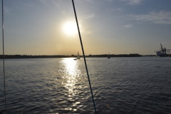 961315B3-FDD5-4DB2-B29C-02B23B6FA209_4_5005_c