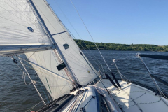 B426C5F5-8EBD-42C6-9BA4-350EA4AECD90_1_201_a