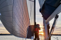 D50CB297-903D-4B85-802F-6EA582E4C6ED_1_201_a