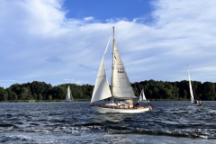 D5C7C964-521A-44B6-9630-8AB8E2B5BB38_1_105_c