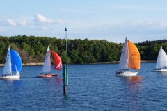 D9E43DDF-1A25-47FD-A0A9-ED085F7473FE_4_5005_c