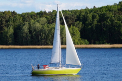 F9569360-07E7-4836-B439-927328B061DC_4_5005_c